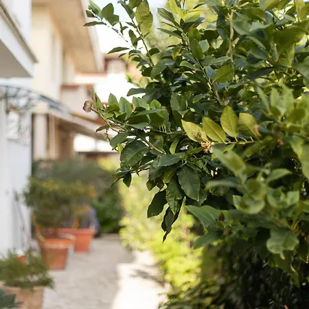 Bari